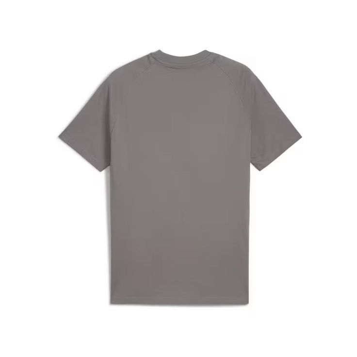 Camiseta M/C Pumatech Tee Cast